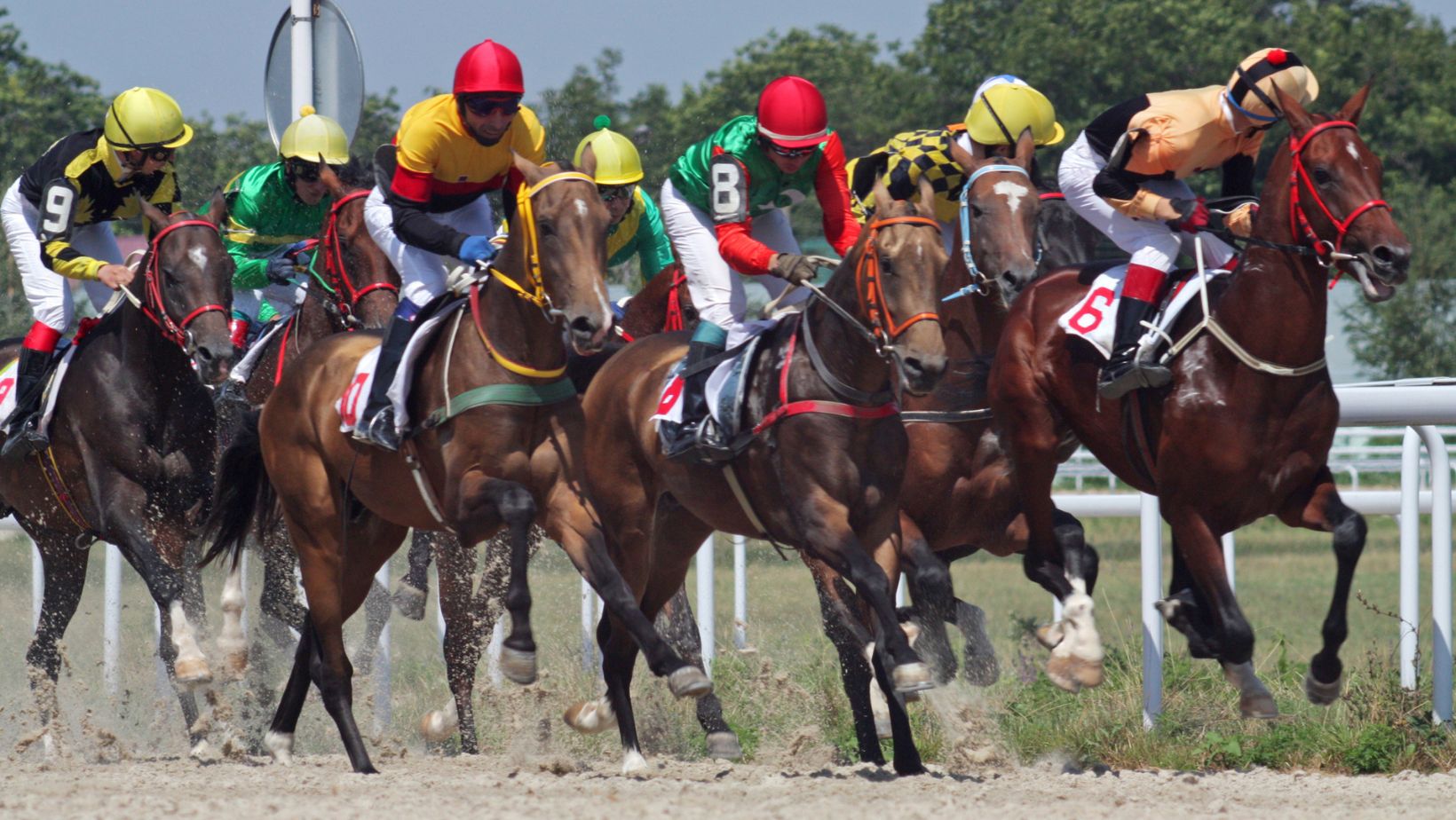 Malaysia Online Casino: Expert Horse Racing Tips