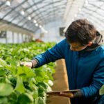 2 Innovations Shaping The Future of Greenhouse Farming