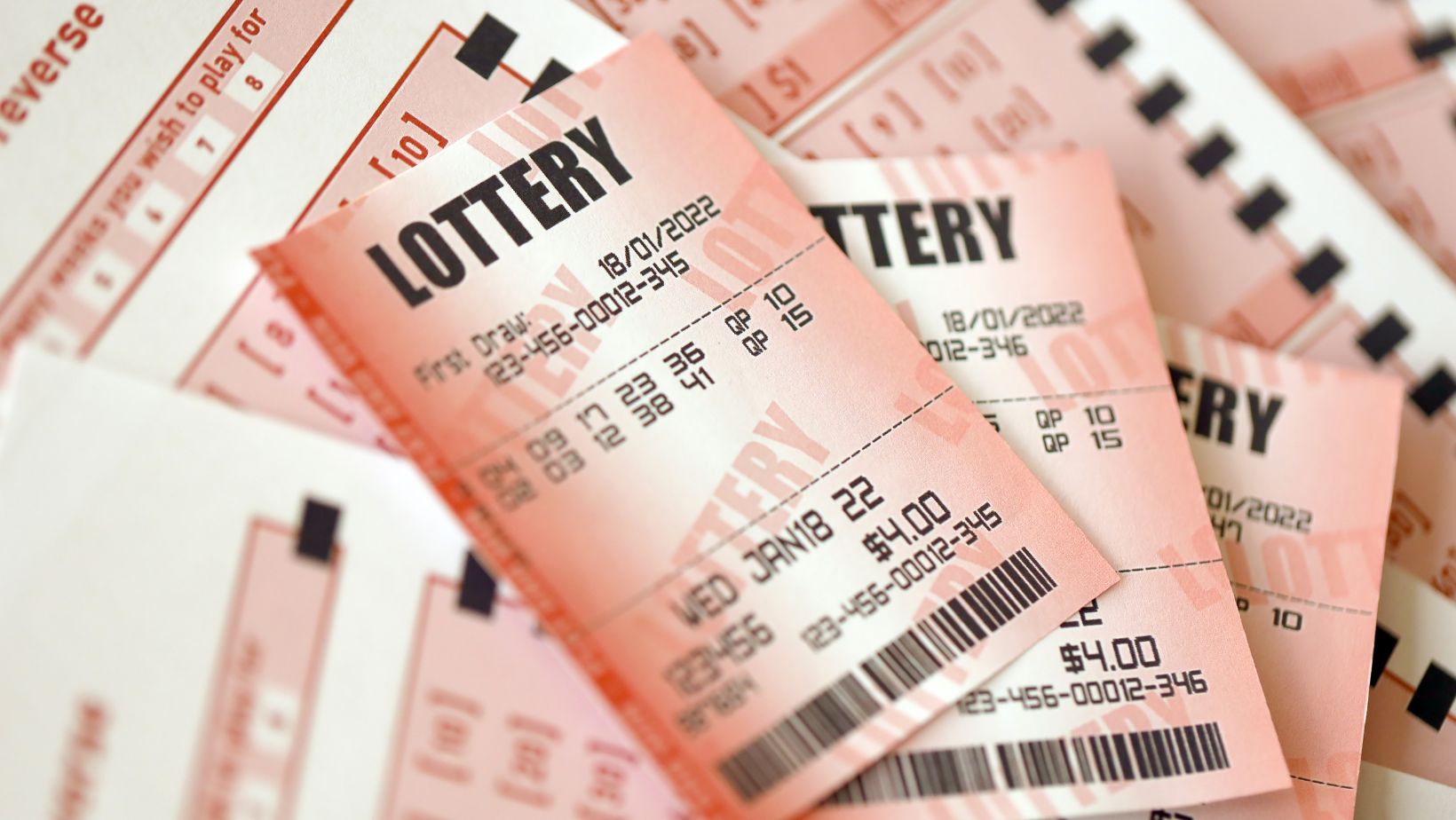 What is Lottery Management Software? How Can It Shape Your Lottery Business?