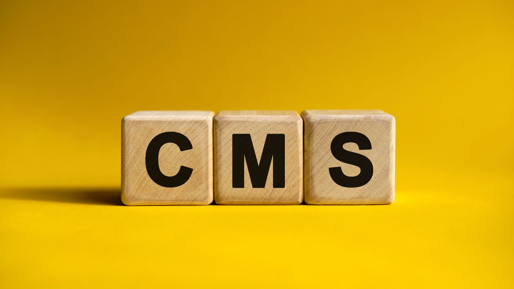 Designing for Accessibility with Structured Content in Headless CMS Designing for Accessibility with Structured Content in Headless CMS