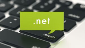 The Overview of .NET Cloud Application Development Companies