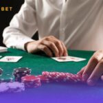 The Roobet Blueprint: Mapping the Future of Digital Platforms